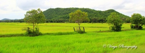 អនុស្សាវរីយ៍ភ្នំក្រពើ