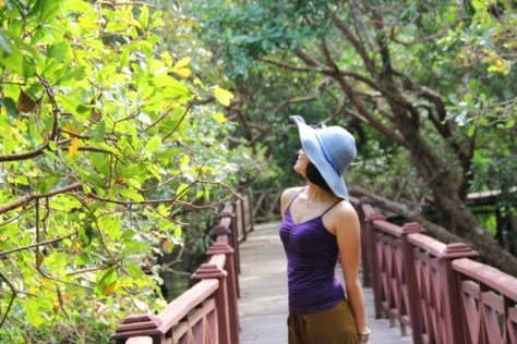 កំសាន្តក្នុងព្រៃ